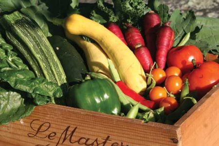 Community Supported Agriculture a Win for Farmers and Members Image